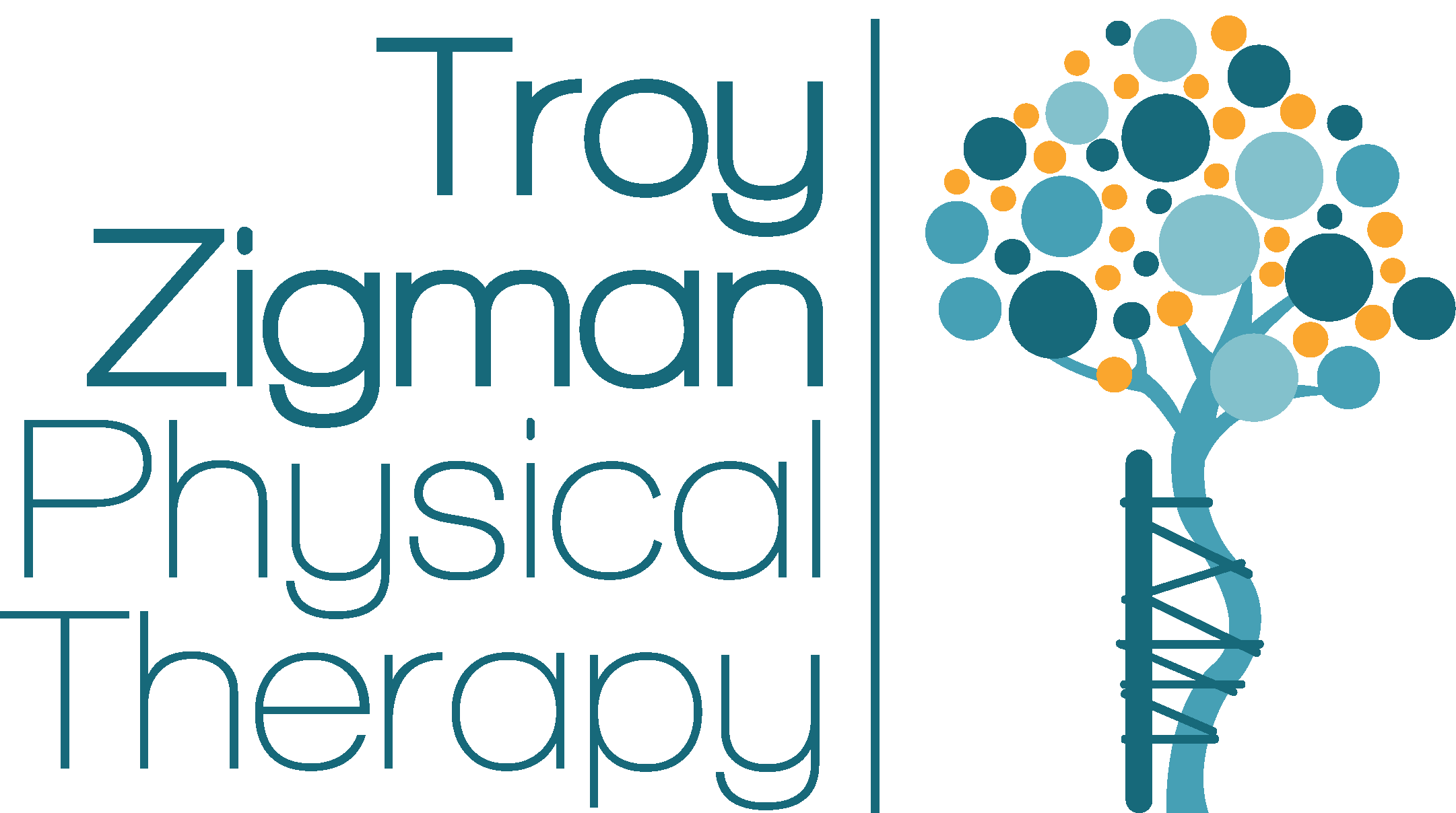 Troy Zigman logo